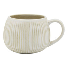 Load image into Gallery viewer, Fossil Mug set 4 - Chalk