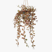 Load image into Gallery viewer, Fern Button Hanging Pot - Rust