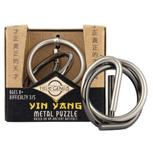 Load image into Gallery viewer, Project Genius - Metal Puzzle