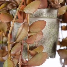 Load image into Gallery viewer, Fern Button Hanging Pot - Rust