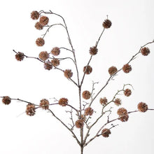 Load image into Gallery viewer, Sycamore Spray - Chocolate Brown