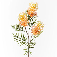 Load image into Gallery viewer, Grevillea Spray