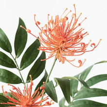 Load image into Gallery viewer, Grevillea Spray