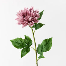 Load image into Gallery viewer, Dahlia - Dusty Pink