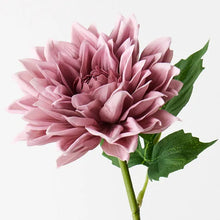 Load image into Gallery viewer, Dahlia - Dusty Pink