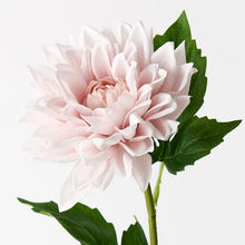 Load image into Gallery viewer, Dahlia - Soft Pink