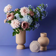 Load image into Gallery viewer, Dahlia - Soft Pink