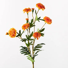 Load image into Gallery viewer, Marigold Spray