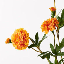 Load image into Gallery viewer, Marigold Spray