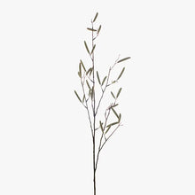 Load image into Gallery viewer, Bean Pod Spray