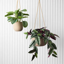 Load image into Gallery viewer, Pot Flo Hanging - Taupe Small