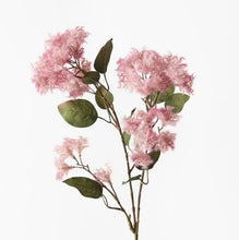 Load image into Gallery viewer, Smoke Bush Spray