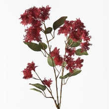 Load image into Gallery viewer, Smoke Bush Spray
