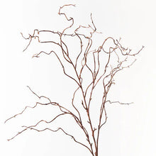 Load image into Gallery viewer, Twig Curly Willow Spray
