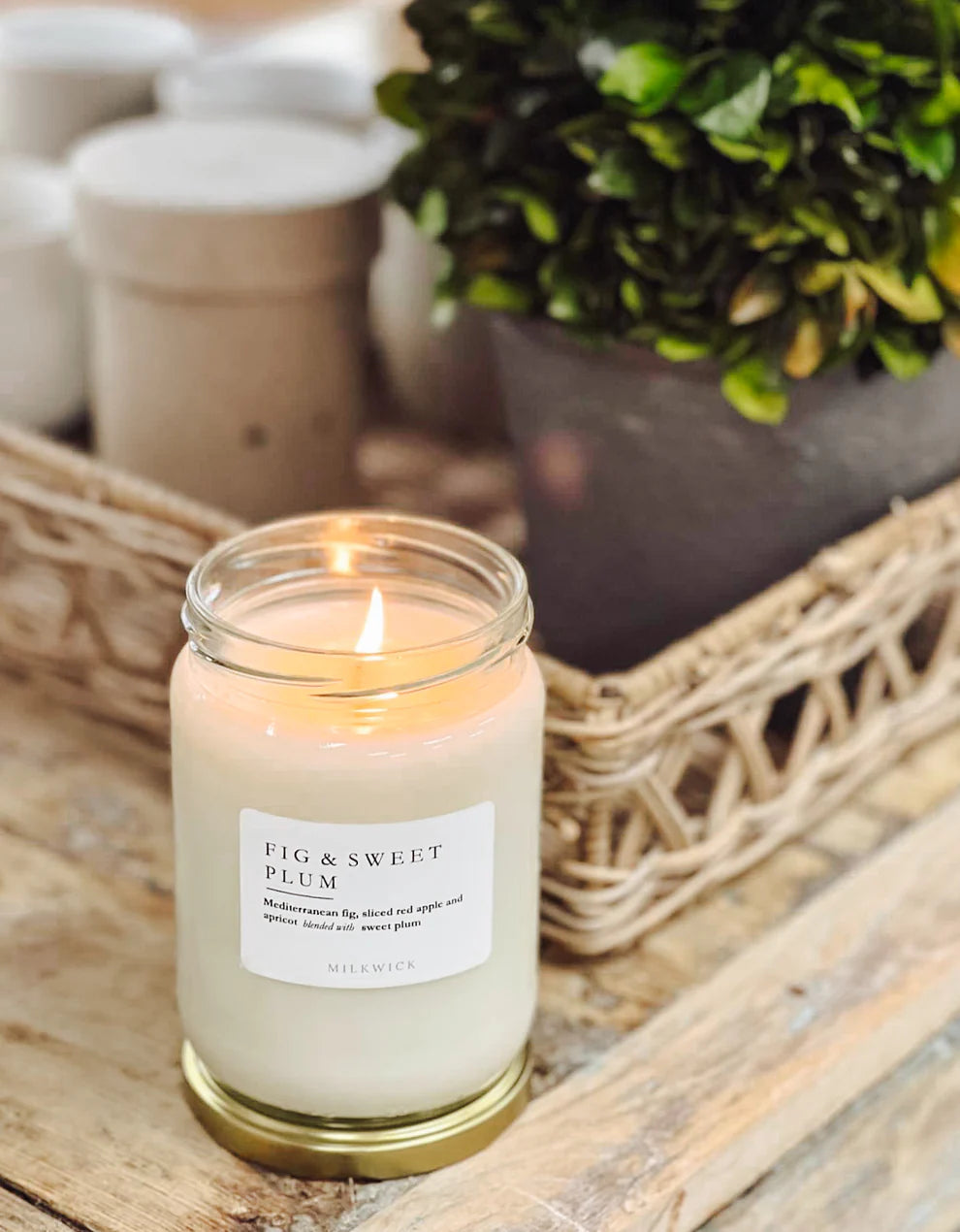 Fig & Sweet Plum - Large Jar