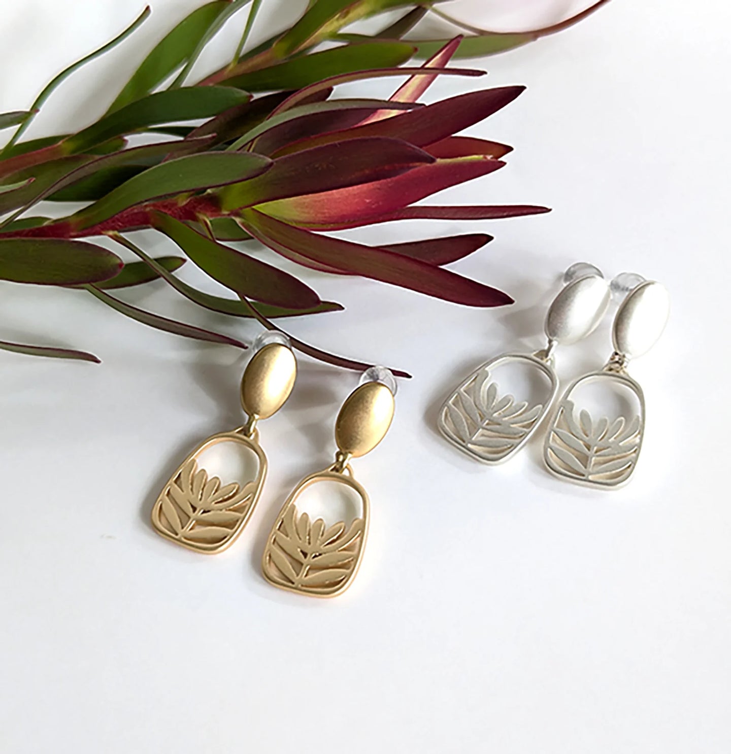 Leucadendron oval stud - Silver