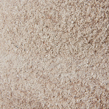 Load image into Gallery viewer, Alba Natural Textured Vase
