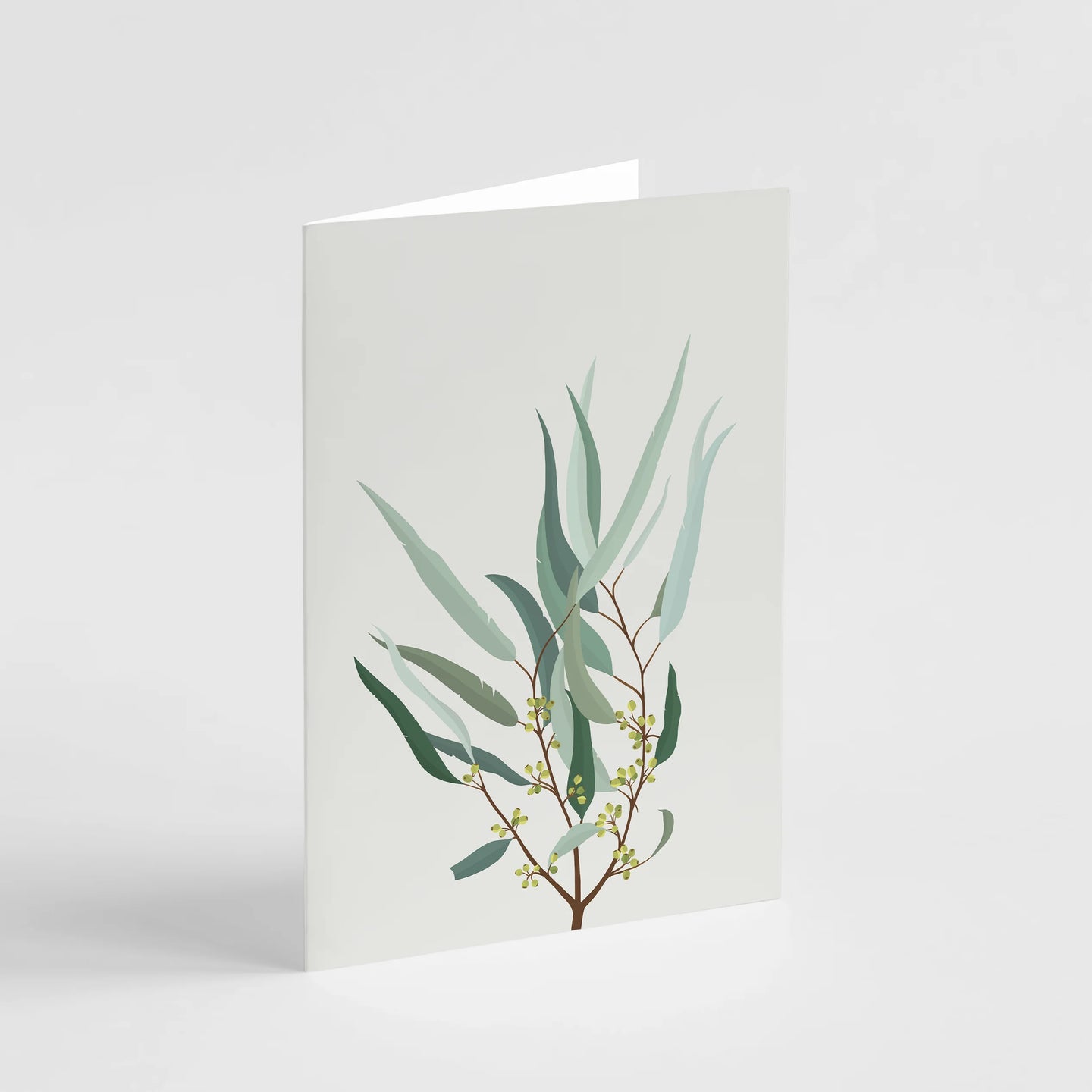 Eucalyptus Greeting Card