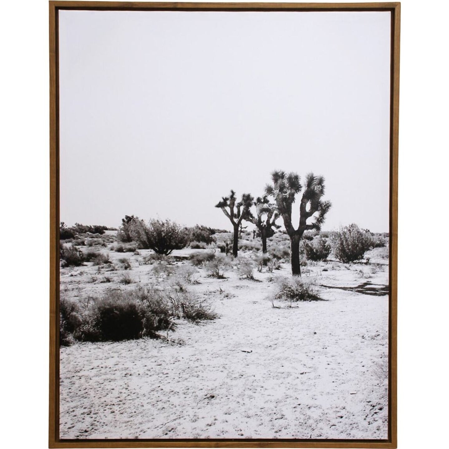 Joshua Tree Framed Canvas