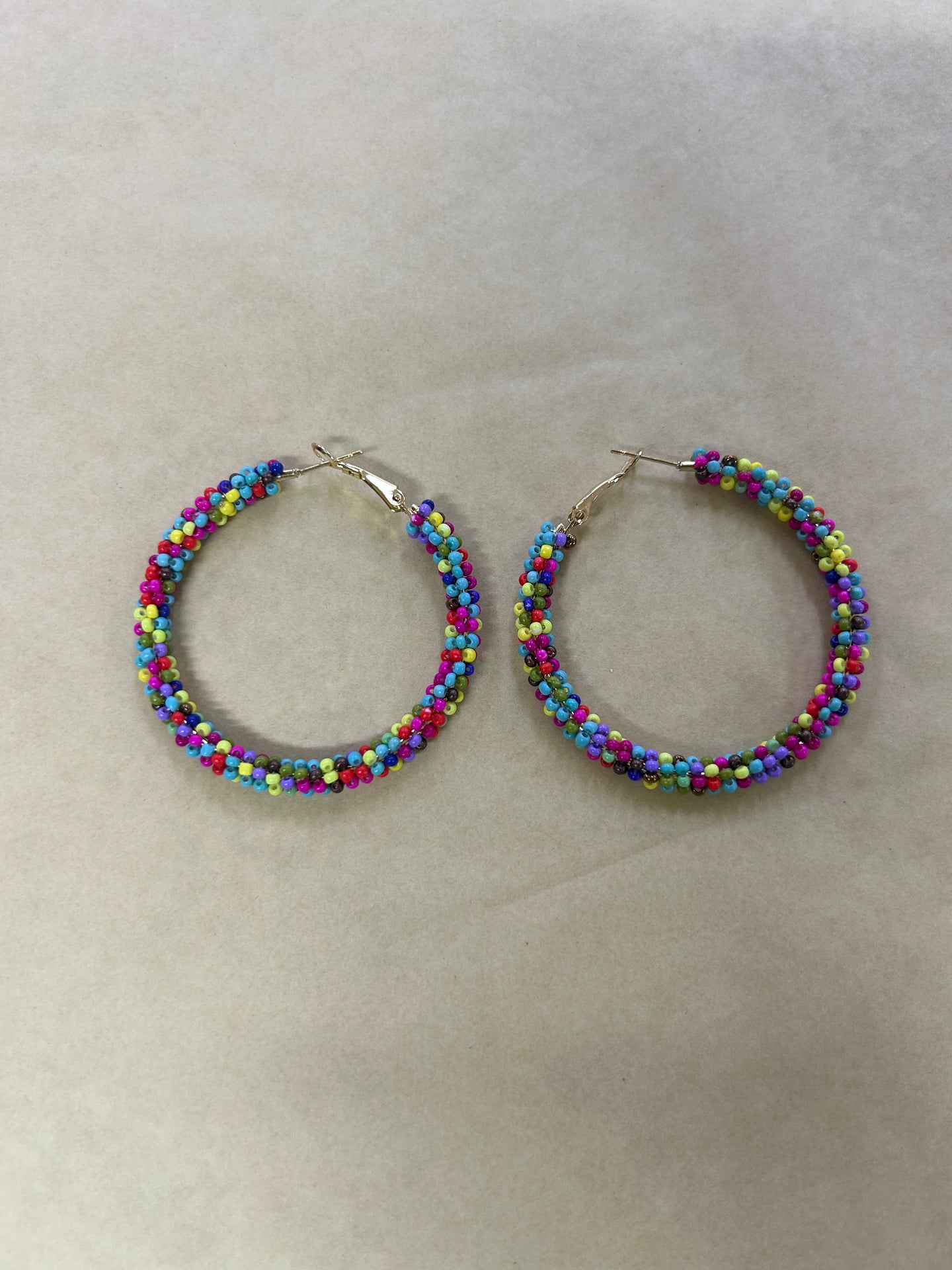 Multi Coloured Beaded Earrings