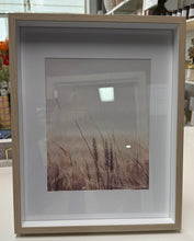 Load image into Gallery viewer, Framed Artwork
