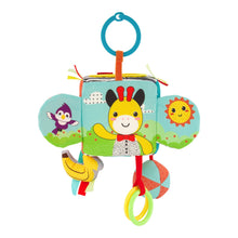 Load image into Gallery viewer, Peek &amp; Seek Sensory Discovery Cube
