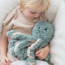 Load image into Gallery viewer, Ollie The Octopus Weighted Teddy

