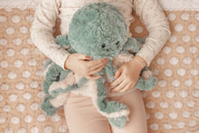 Load image into Gallery viewer, Ollie The Octopus Weighted Teddy
