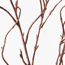 Load image into Gallery viewer, Twig Curly Willow Spray
