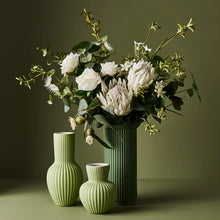 Load image into Gallery viewer, Eucalyptus Flowering Dollar
