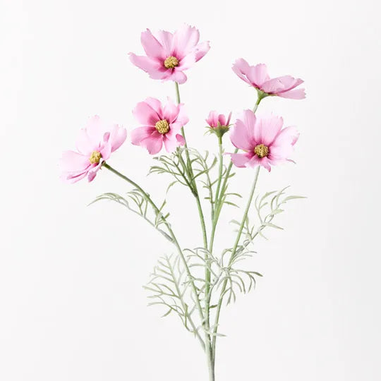 Cosmos Spray - Pink Mauve
