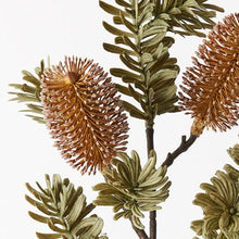 Load image into Gallery viewer, Banksia Spray
