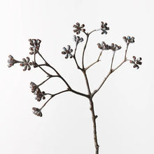 Load image into Gallery viewer, Eucalyptus Seed Spray
