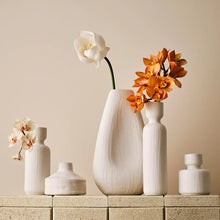 Load image into Gallery viewer, Vase Alena - Assorted
