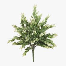 Load image into Gallery viewer, Ruscas Bush
