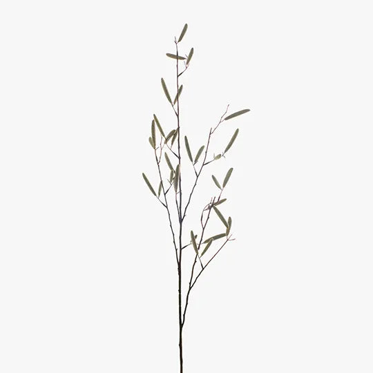 Bean Pod Spray