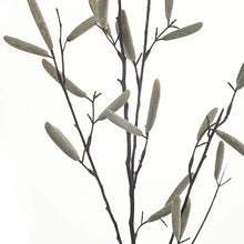 Load image into Gallery viewer, Bean Pod Spray
