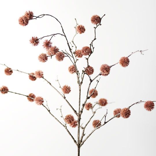 Sycamore Spray