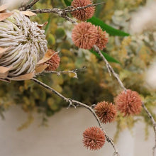 Load image into Gallery viewer, Sycamore Spray
