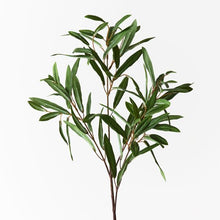 Load image into Gallery viewer, Olive Leaf Spray
