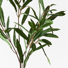 Load image into Gallery viewer, Olive Leaf Spray
