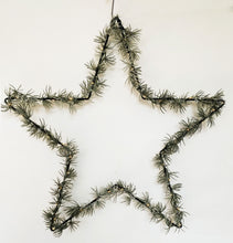 Load image into Gallery viewer, Hanging Star with Foliage LED
